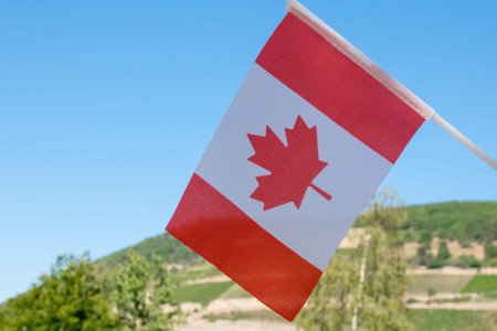 Flag of Canada in the sky. Sign with nature background.