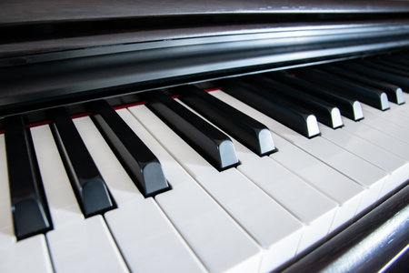 White and black keys of the piano. Music in the house.の写真素材