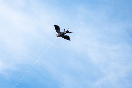 Kite in a blue sky. Black bird kite flying among the clouds. Happy growing years moment. Outdoor time spending. Freedom and summer holiday. Childhood dream.の写真素材