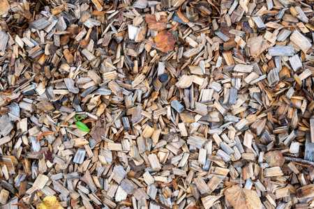 Yellow wood chips background. Playground natural flor. Decoration for exterior.