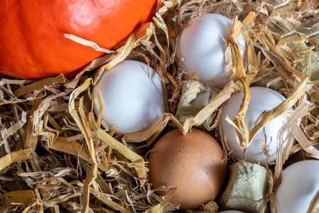 White and brown fresh eggs with dry hay straw. Nature background. Chicken egg in carton box for...