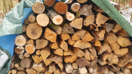 Stacked fresh firewood logs laid in a pile in winter forest. Prepared fuel for the fireplace....