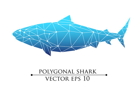 Vector Polygonal big shark, grampus. Blue and white design objectのイラスト素材