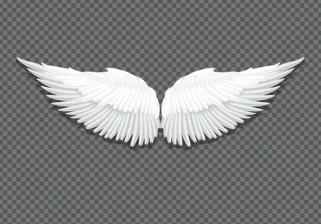 Realistic white angel wingsのイラスト素材