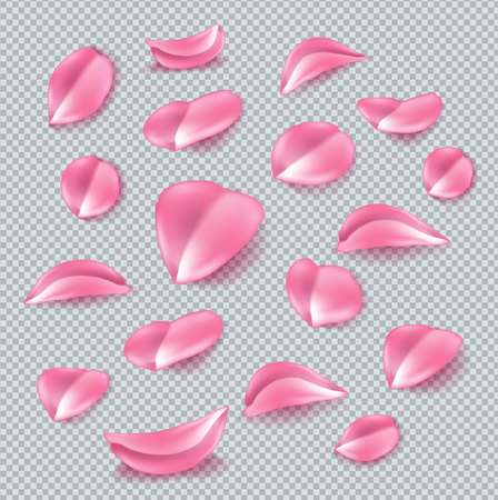 Vector realistic pink rose petals setのイラスト素材