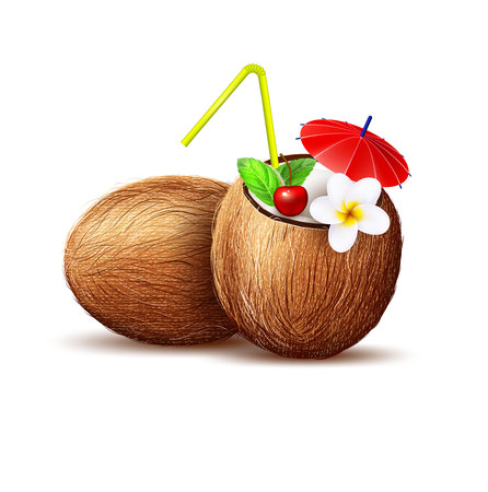 Vector realistic coconut exotic fruit 3dのイラスト素材