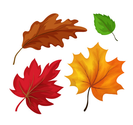 Vector sketch autumn leaves setのイラスト素材