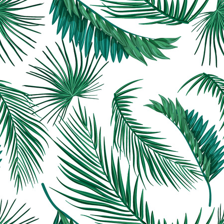 Vector tropical leaves summer seamless patternのイラスト素材