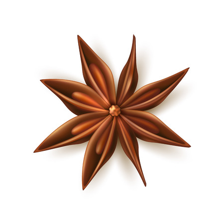 Dried anise star. Realistic seasoning, spice and condement for christmas, winter holiday. Vector herb for culinary, gourmet cuisine and cooking. Delicious flavor illustrationのイラスト素材
