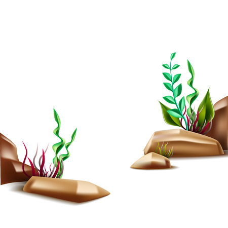 Underwater world nature. Ocean and sea bottom life, seagrass and seaweed with stones on isolated background. Marine undersea seascape backdrop. Vector illustrationのイラスト素材