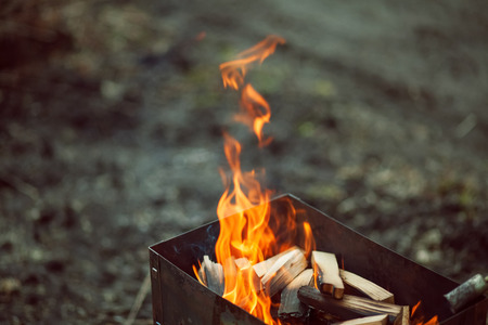 Bright fire in spring forest の写真素材