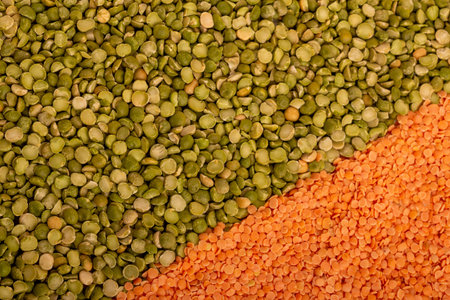 Botanicals rich in vegetable protein for vegetarians