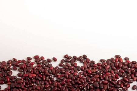 Botanicals rich in vegetable protein for vegetariansの写真素材