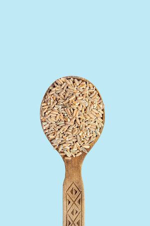 Raw unpeeled oats in a wooden spoon on a blue backgroundの写真素材