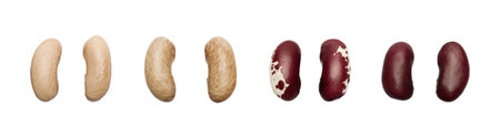 Pairs of multicolore beans isolated on white
