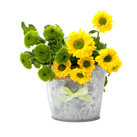 Yellow and green flowers in a tin bucket isolated on whiteの写真素材