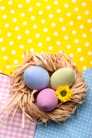 Colorful Easter Eggs in the Nest on multicolor napkinsの写真素材