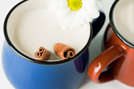 Blue mug with milk and cinnamon sticksの写真素材