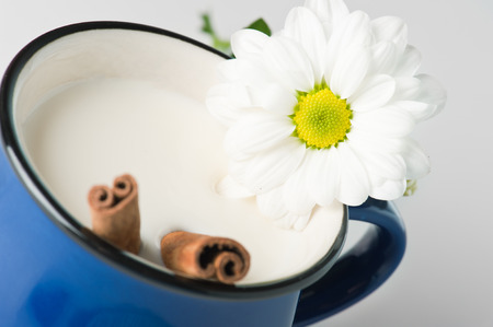 Closeup of flower in a blue mug with milk and cinnamon sticksの写真素材