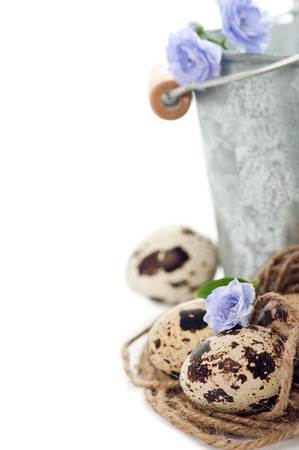 Quail eggs and a small tin bucketの写真素材