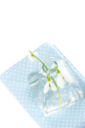 Fresh snowdrops in transparent vase on blue napkin isolated on whiteの写真素材