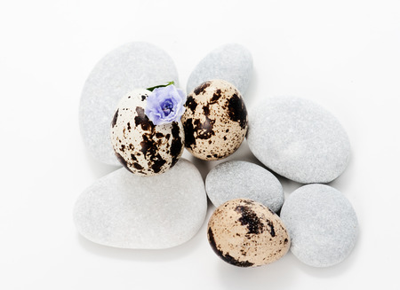 Set with sea stones and quail eggs の写真素材