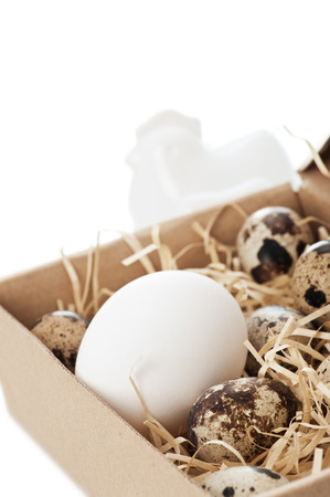 Chicken and quail eggs in boxの写真素材