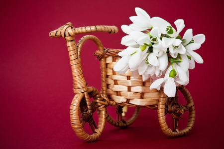 Wooden rods bicycle flowerpot with spring flowers on red backgroundの写真素材