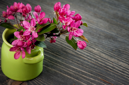 Pink cherry blossom in a green pot on a dark wooden background の写真素材