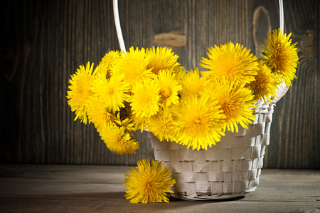 Dandelions in a basket on dark wooden background の写真素材