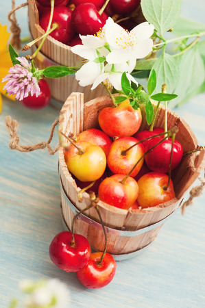 Bucket of red and yellow cherries on blue wooden background with summer flowers and herbsの写真素材