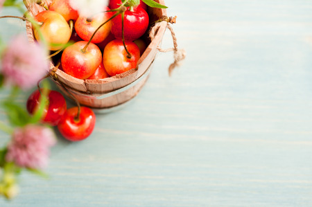 Bucket of red and yellow cherries on blue wooden background with summer flowers and herbsの写真素材