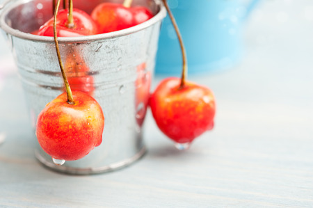 Macro of red and yellow cherries on grey wooden background in tin canの写真素材
