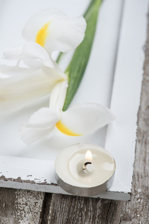 Lit candle and irisis on white hardwood tableの写真素材
