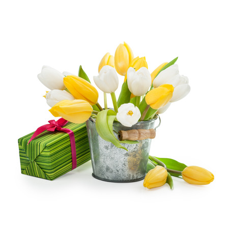 Fresh yellow white tulips bouquet and a giftの写真素材