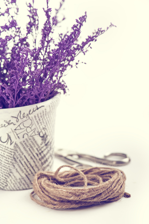 Twine and purple branches in the pot. Gardening decoration. Vintage Toned Imageの写真素材