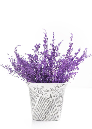 Newspaper pot and purple branches. Gardening decoration.の写真素材