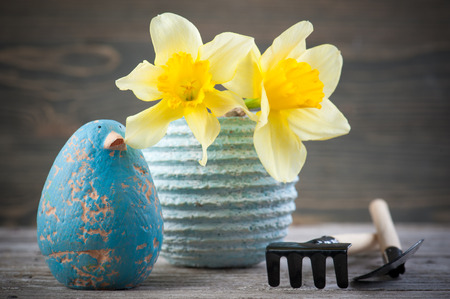 Daffodil flowers in pot with gardening tools on wooden table with blue clay birdの写真素材