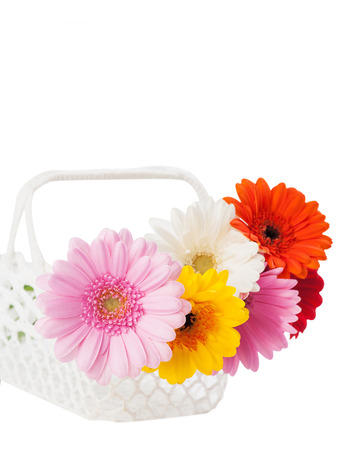 Daisies flowers in the white crocheted basket. Flower decor for the home. Isolated on whiteの写真素材