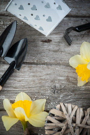 Gardening tools, wicker heart, plants on vintage wooden table. Spring in the garden backgroundの写真素材