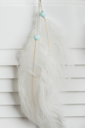 White feathers with mint beads in the interior. Close upの写真素材