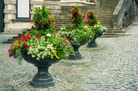 Bright flowers in stone flowerpots on cobblestone street in Germany, Europe. Urban detailの写真素材