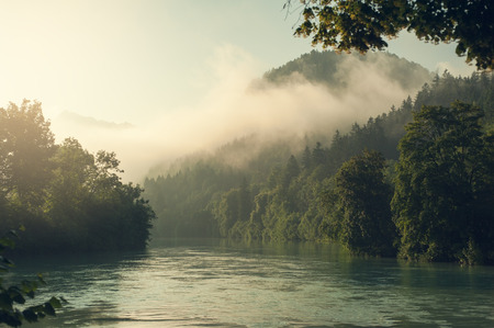 Alps and fog in early morning sun. Landscape with mountains, river, pines. Toned imageの写真素材