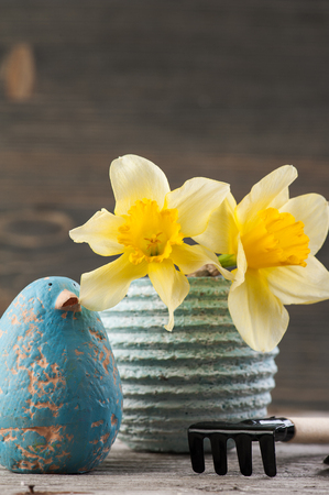 Daffodil flowers in pot with gardening tools on wooden table with blue clay birdの写真素材