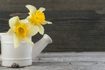 Yellow flowers in vase on wooden table. Spring gardening conceptの写真素材