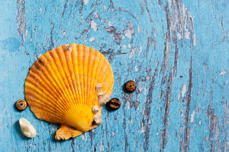 Big orange seashell on blue wooden table summer holiday background. View from aboveの写真素材