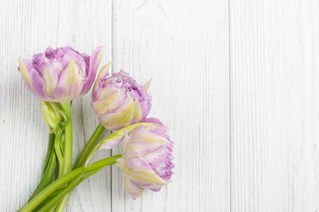 Background with purple tulips on white shabby wooden boards. Place for text. Top view.の写真素材