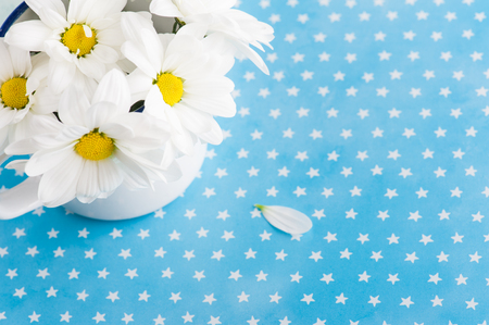 Fresh daisy flowers on blue stars background. Greeting card concept の写真素材