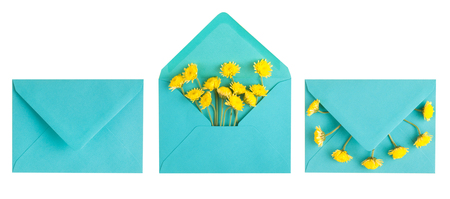 Cyan envelope and yellow chrysanthemum isolated on white. Top view. Flat lay.の写真素材