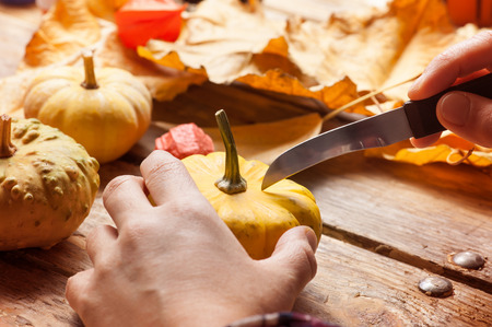 Female hands cutting pumpkins and leaves on rustic wooden tableの写真素材